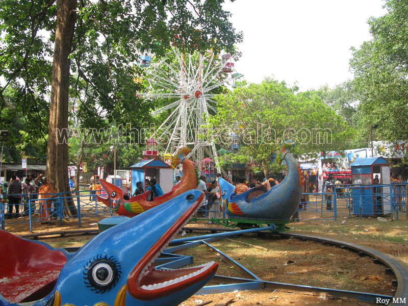 thrissur-pooram-exhibition-2011 (24)